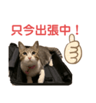 レオおコメちゃん（個別スタンプ：2）