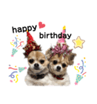 チワワトーク1（個別スタンプ：30）