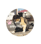 まったりーすたんぷ2（個別スタンプ：3）