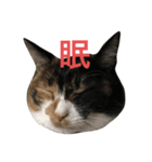おこげと七味2（個別スタンプ：16）