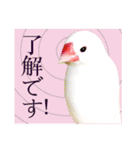 和洋折衷 丁寧語で話すビジネス文鳥ちゃん（個別スタンプ：14）