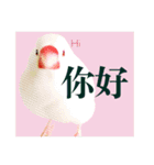 和洋折衷 台湾語で話す文鳥ちゃん！（個別スタンプ：2）