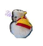 我が家の愛犬むぎちゃんスタンプ（個別スタンプ：3）