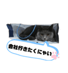 ぴっころのスタンプ1（個別スタンプ：4）