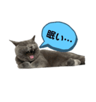ぴっころのスタンプ1（個別スタンプ：8）