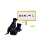 保護犬スプーンとフォーク（個別スタンプ：3）