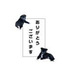保護犬スプーンとフォーク（個別スタンプ：4）