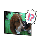 犬のひめちゃんスタンプ（個別スタンプ：14）