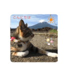都子とおこちゃんの日常語（個別スタンプ：1）
