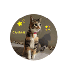 都子とおこちゃんの日常語（個別スタンプ：2）