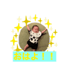 岩瀬家のアイドル（個別スタンプ：8）