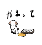 いつものシーン（個別スタンプ：11）