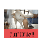 おきゃん2（個別スタンプ：14）