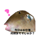 猫と魚とウサギ（個別スタンプ：1）
