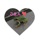 猫と魚とウサギ（個別スタンプ：3）