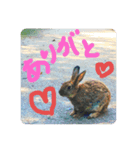 猫と魚とウサギ（個別スタンプ：5）