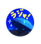 猫と魚とウサギ（個別スタンプ：6）