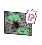 なんやこれはー（個別スタンプ：3）