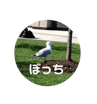 なんやこれはー（個別スタンプ：5）