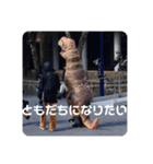 なんやこれはー（個別スタンプ：6）