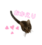 ちくわであそぶ〜？（個別スタンプ：5）