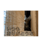 ちくわであそぶ〜？（個別スタンプ：11）