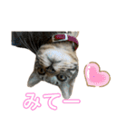 ちくわであそぶ〜？（個別スタンプ：12）