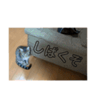 ちくわであそぶ〜？（個別スタンプ：14）