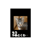 ちくわであそぶ〜？（個別スタンプ：16）
