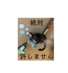 ちくわであそぶ〜？（個別スタンプ：19）