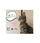ちくわであそぶ〜？（個別スタンプ：26）
