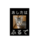 ちくわであそぶ〜？（個別スタンプ：29）