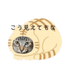 ちくわであそぶ〜？（個別スタンプ：30）
