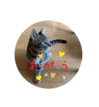 ちくわであそぶ〜？（個別スタンプ：32）