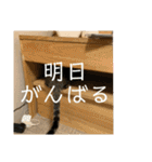 ちくわであそぶ〜？（個別スタンプ：33）