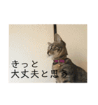 ちくわであそぶ〜？（個別スタンプ：38）