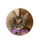 ちくわであそぶ〜？（個別スタンプ：40）