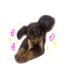 Happy makes us happy3（個別スタンプ：2）