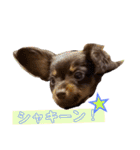 Happy makes us happy3（個別スタンプ：10）