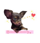 Happy makes us happy3（個別スタンプ：11）