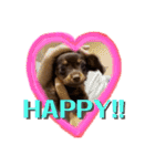 Happy makes us happy3（個別スタンプ：13）