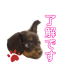 Happy makes us happy3（個別スタンプ：14）