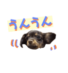 Happy makes us happy3（個別スタンプ：18）