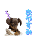 Happy makes us happy3（個別スタンプ：20）