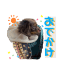Happy makes us happy3（個別スタンプ：23）