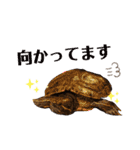 Happy makes us happy3（個別スタンプ：24）
