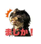 ミルキー＆フラン1（個別スタンプ：1）