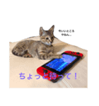 俺とルナ（個別スタンプ：4）