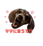 らいがーくん（個別スタンプ：9）