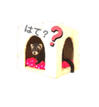 友達のフェレット（個別スタンプ：4）